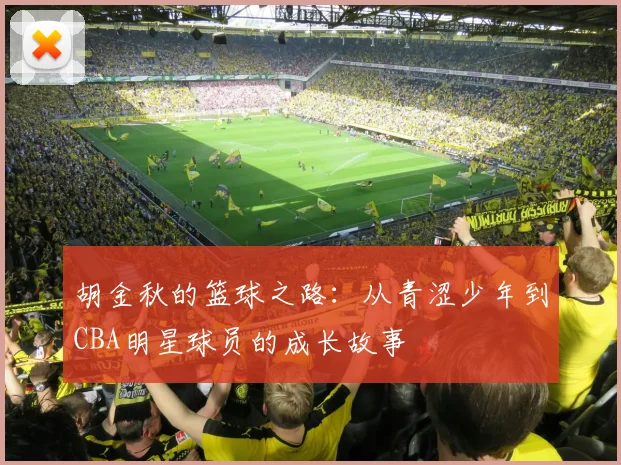 胡金秋的篮球之路：从青涩少年到CBA明星球员的成长故事